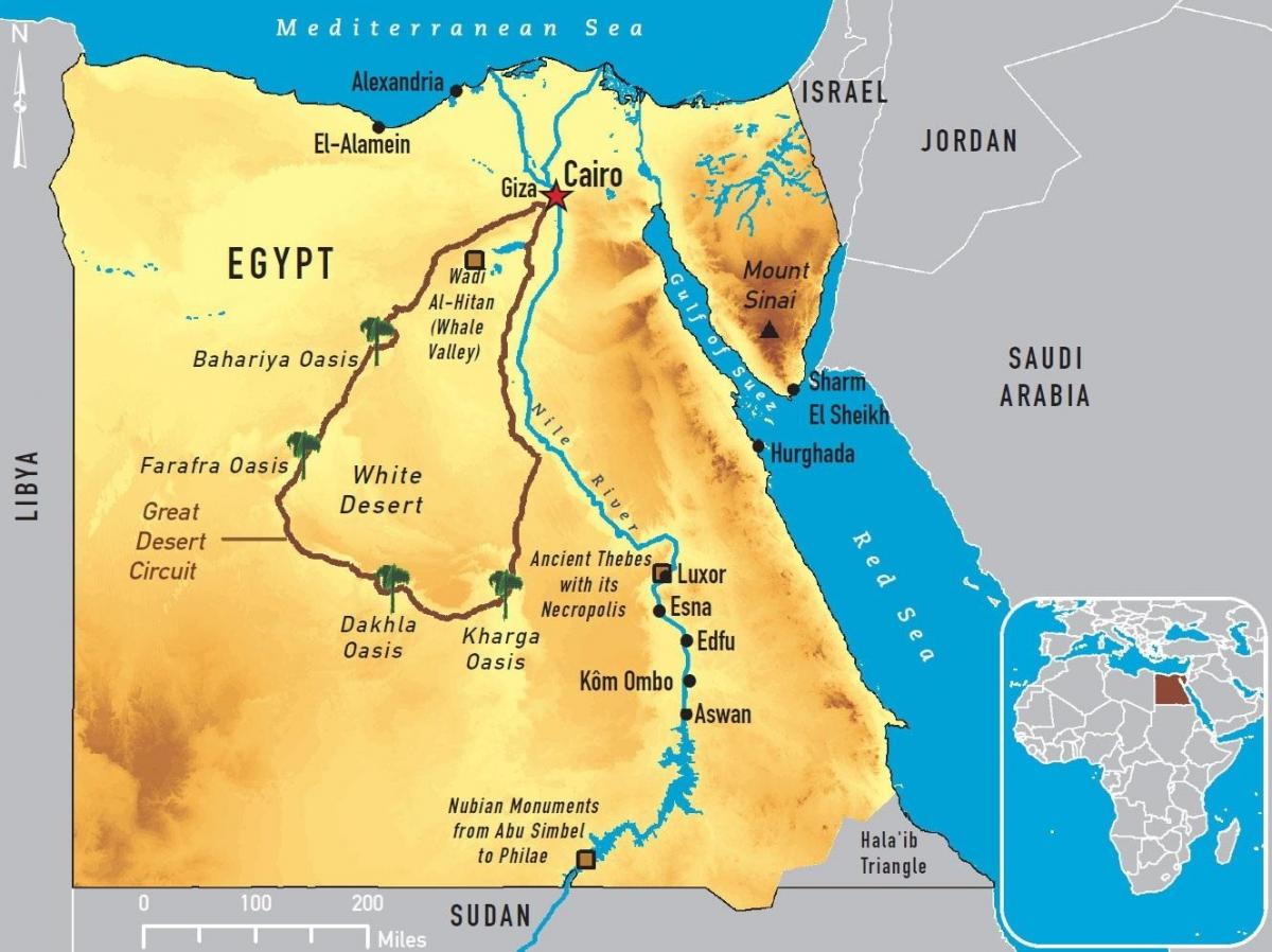 카이로 지도 세계